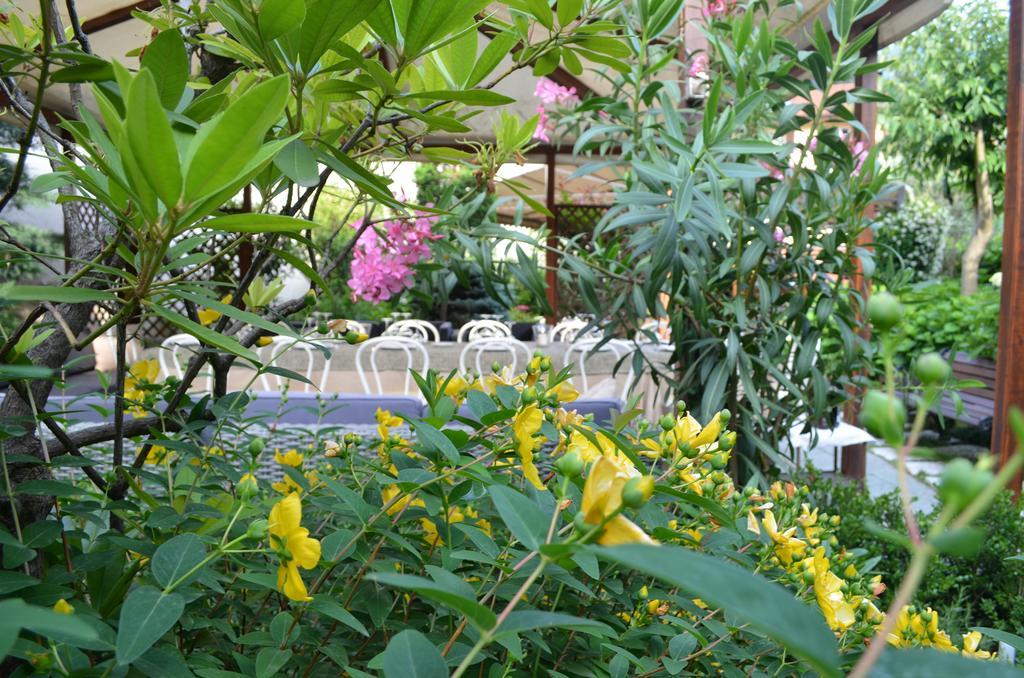 Albergo Giardino Cernobbio Exterior foto